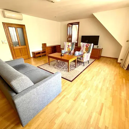 Huge With Private Parking In Center Praag